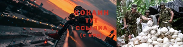 гидропоника Алзамай