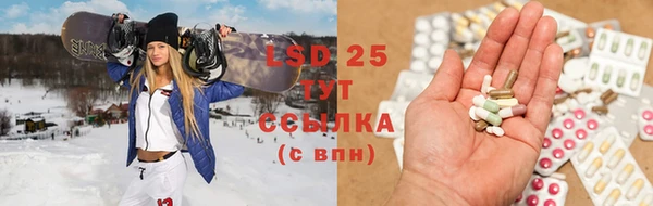 гидропоника Алзамай