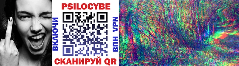 ОМГ ОМГ онион  Орехово-Зуево  Псилоцибиновые грибы GOLDEN TEACHER 